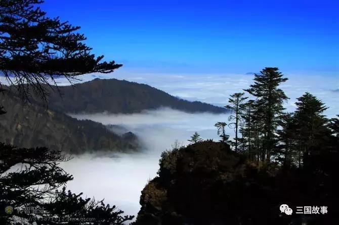 谁是真正的丞相,谁是三国丞相