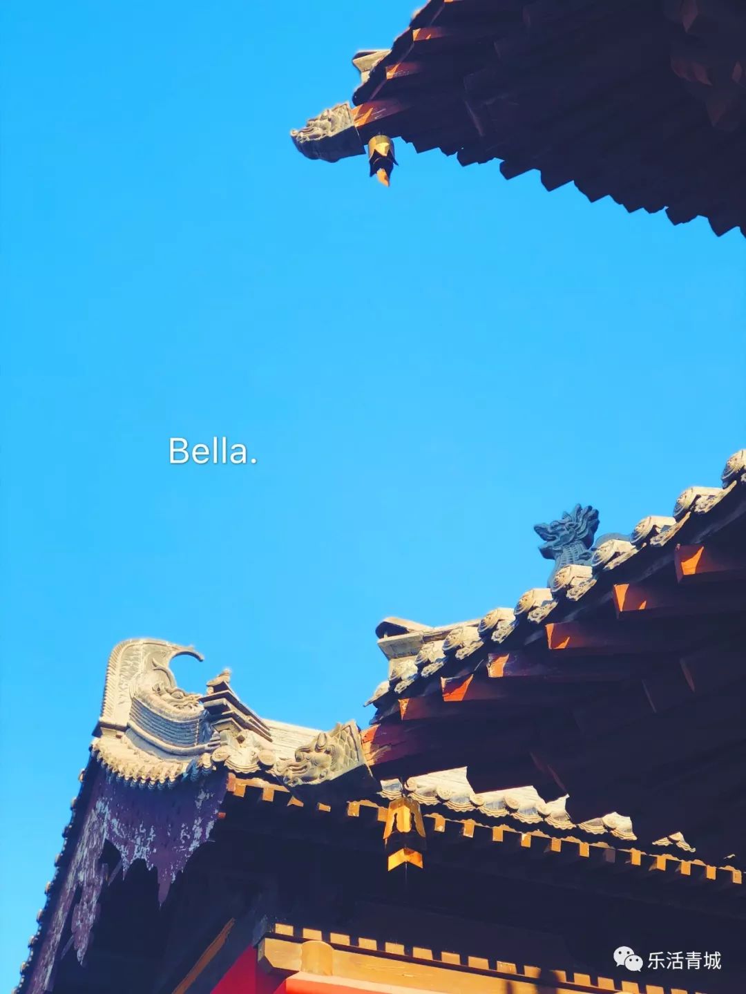 贝拉专访合集,贝拉专栏采访视频