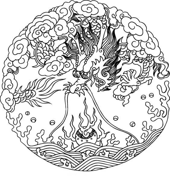 画画入门教程干货博主,基础入门画画必知