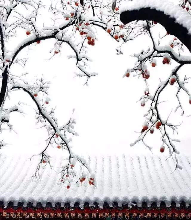 风吹腊梅香小寒日初长,风吹腊梅香的诗句