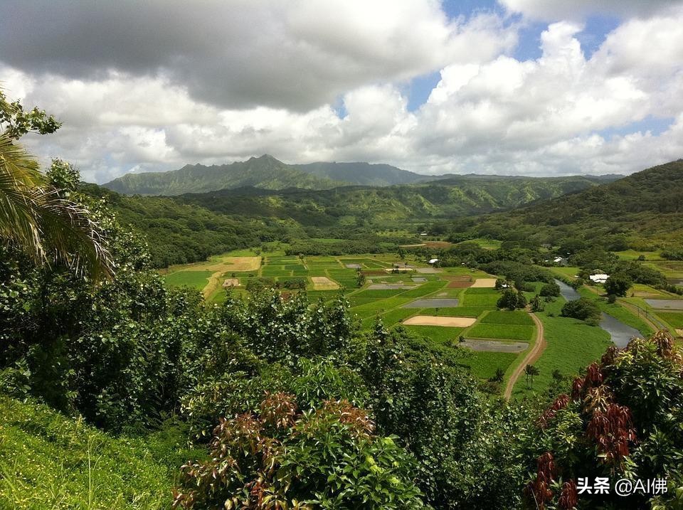 美国农田最多的州,美国哪个州的农场土地肥沃