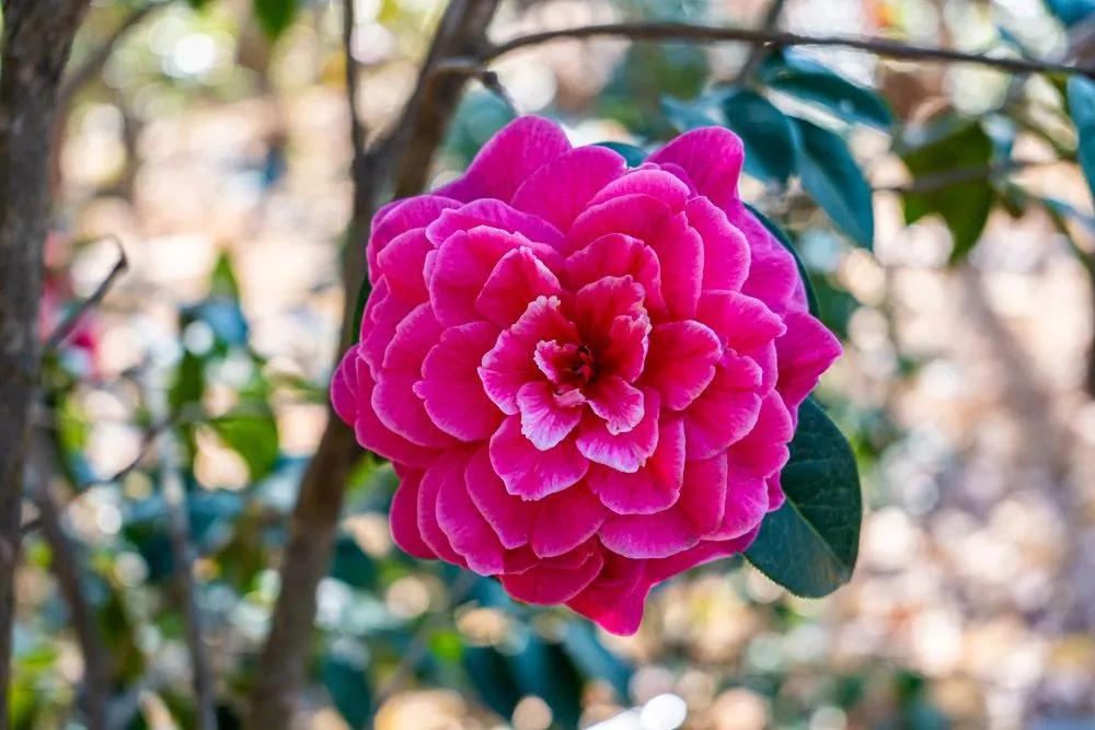 瞧!这花花世界谁不爱