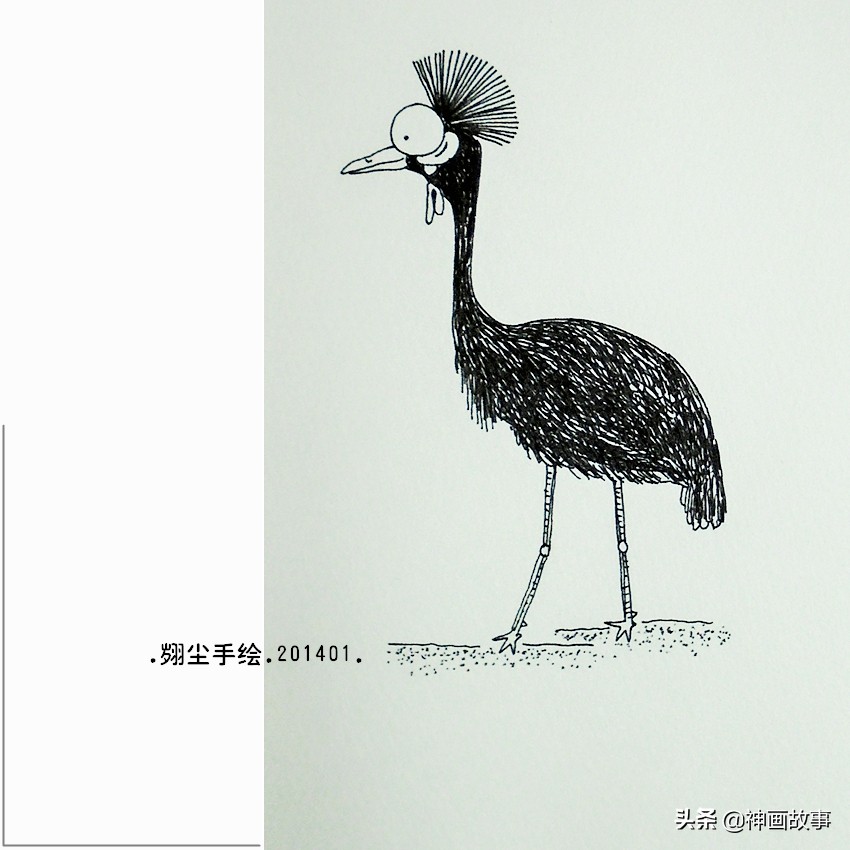 彩铅画q萌的萌宠,怎样画超写实宠物插画