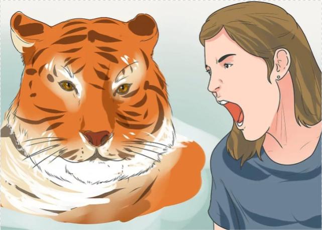 遇见老虎该如何逃生,与老虎狭路相逢怎么办