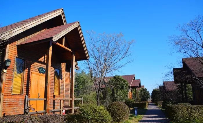 千年古刹温泉,千年银杏谷温泉