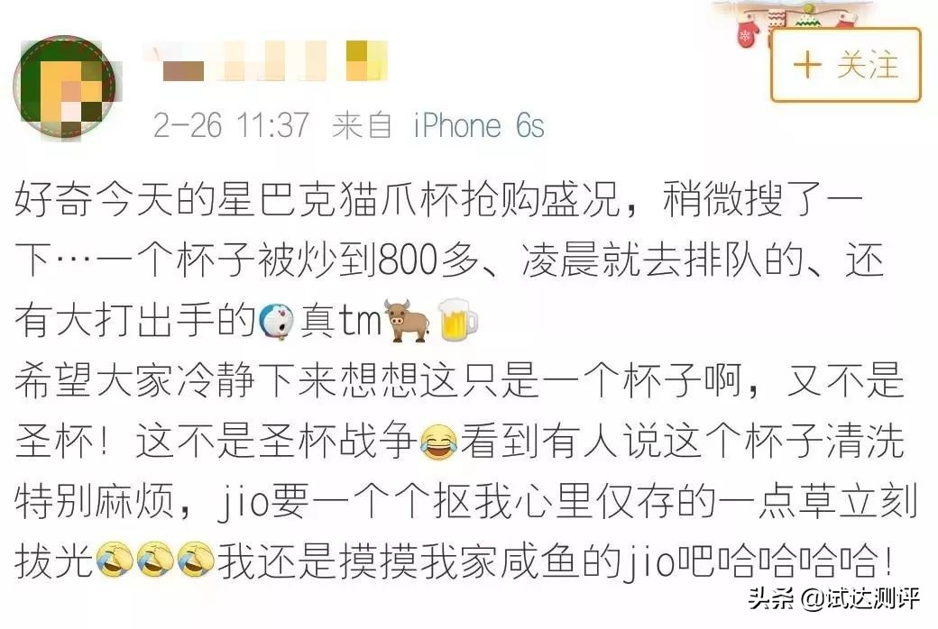 被星巴克“猫爪杯”收割智商税？这只猫能帮你提高智商，亲测有效