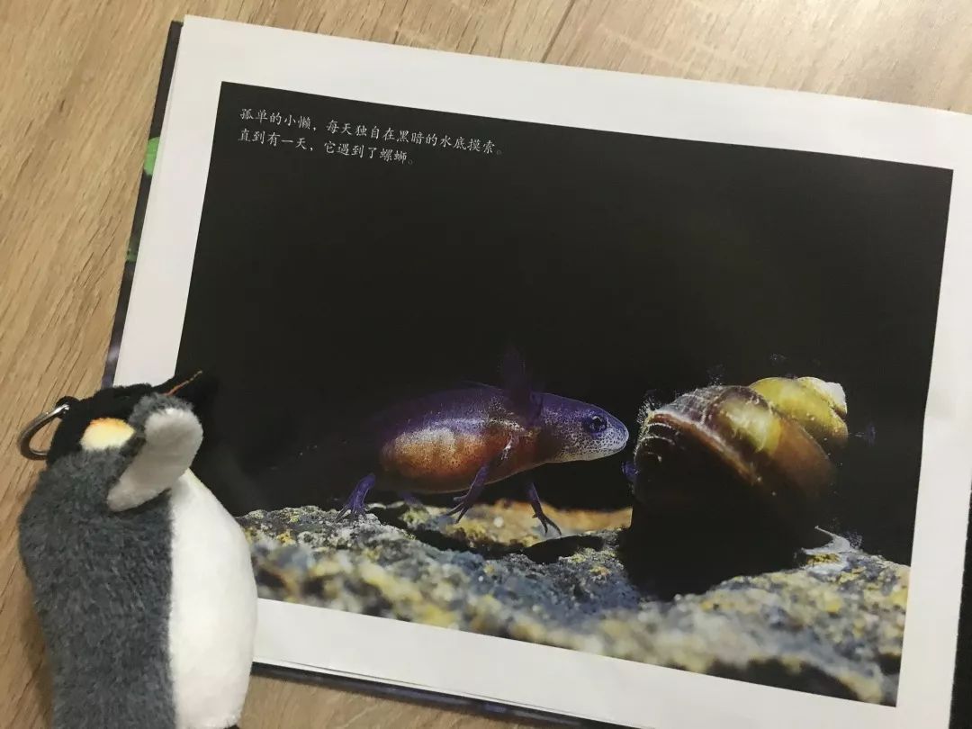 这8套大师级的中国原创绘本，用动画般的画面让孩子目不转睛