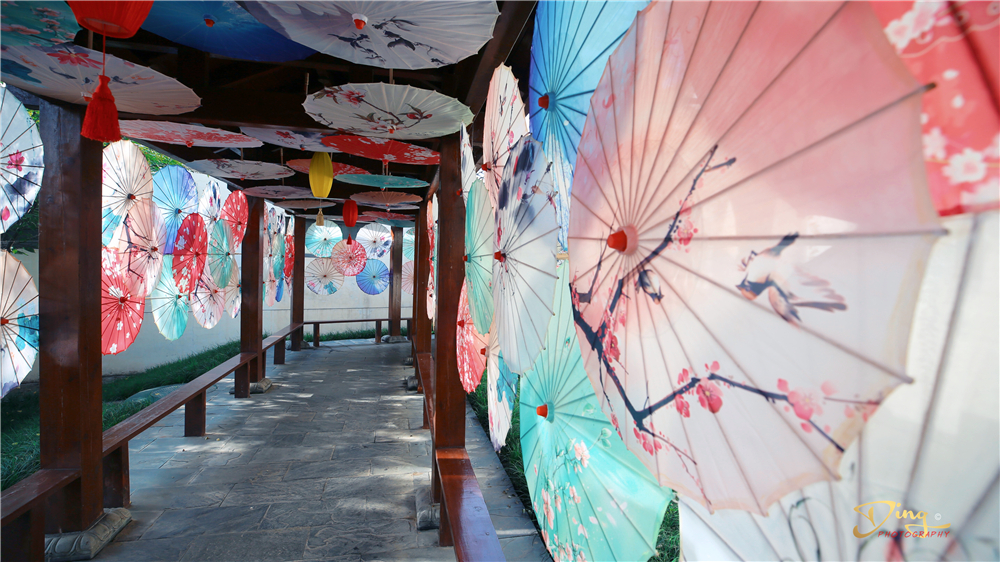 西安室外泡汤好去处,西安冬日赏雪泡温泉