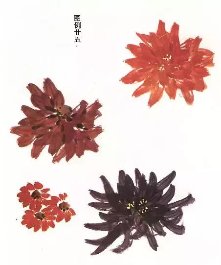 菊花国画入门简单教程,国画菊花画法技法教程