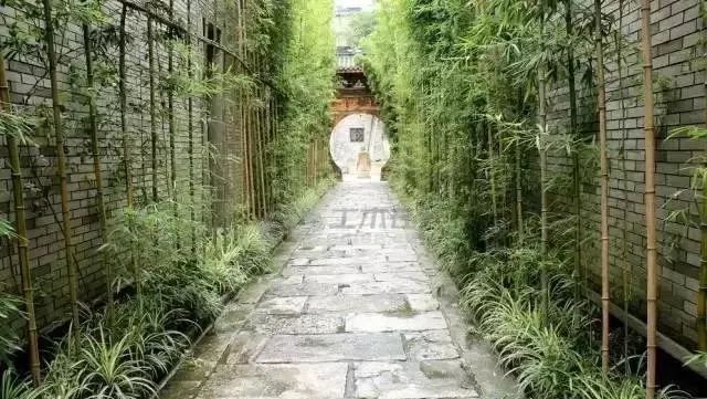 中国人的院子,中国人的院子深度解析