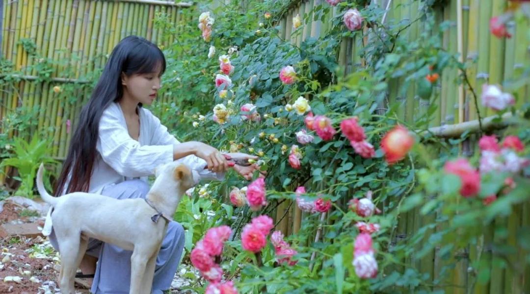 森女流浪风,森女风合集