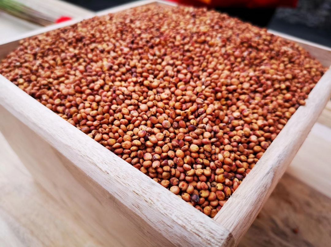 如何买到正宗坤沙酱酒,性价比比较高的入门级坤沙酒