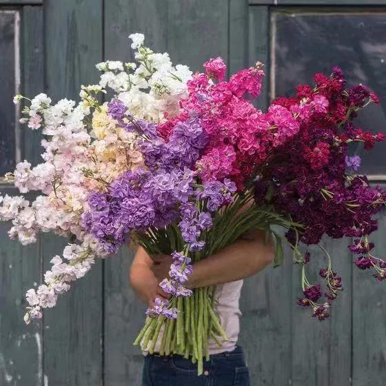 纯小白买花攻略,小白买股实操