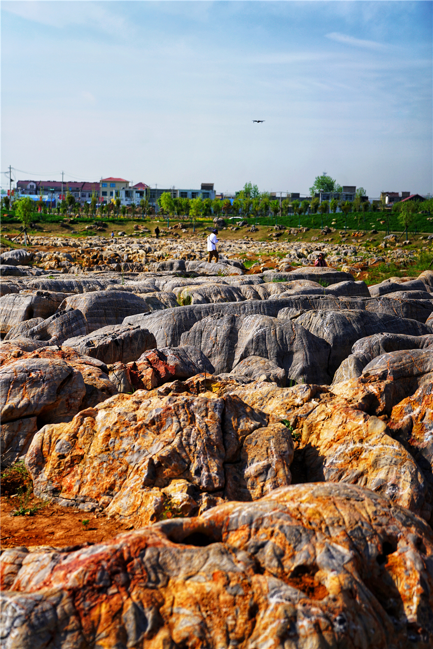 我和宿州有个约会，一场花事，一次慢旅行，探寻最烟火的宿州味道
