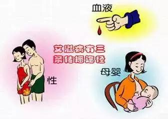 艾滋病日保护好自己远离病毒传染,世界艾滋病日与蜂共舞