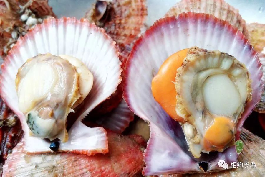 闀垮矝缃戠孩娴烽矞,闀垮矝娴烽矞澶ч鍥剧墖