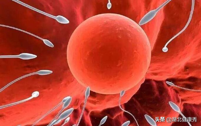 试管婴儿促排卵,只要跨过这3道坎,算是成功了一半