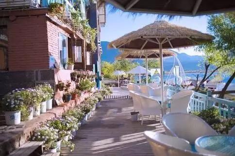 丽江拉市海骑马骗局,丽江拉市海骑马多少钱