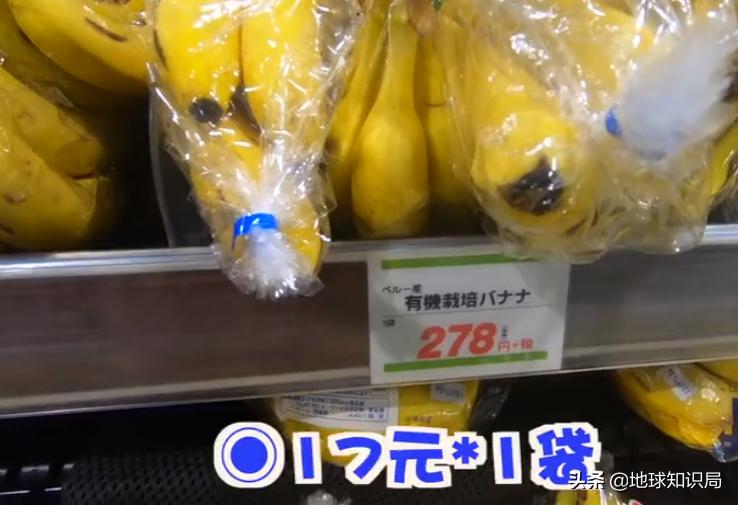 日本西瓜200人民币一个?这背后不为人知的是……|地球知识局