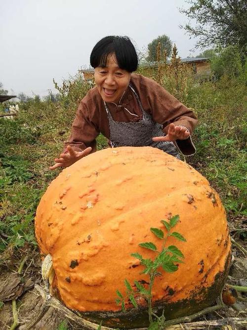 中国银行原油宝负亏需要还吗,关于中国银行原油宝分析