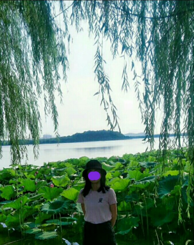 武汉后官湖湿地公园门票,武汉后官湖湿地公园线路图