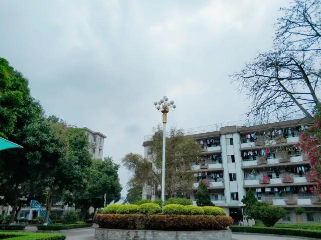 全国宿舍最好的大学宿舍图片,公办学校有哪些好宿舍