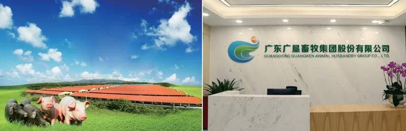 广东农垦旗下品牌,中国农垦集团介绍