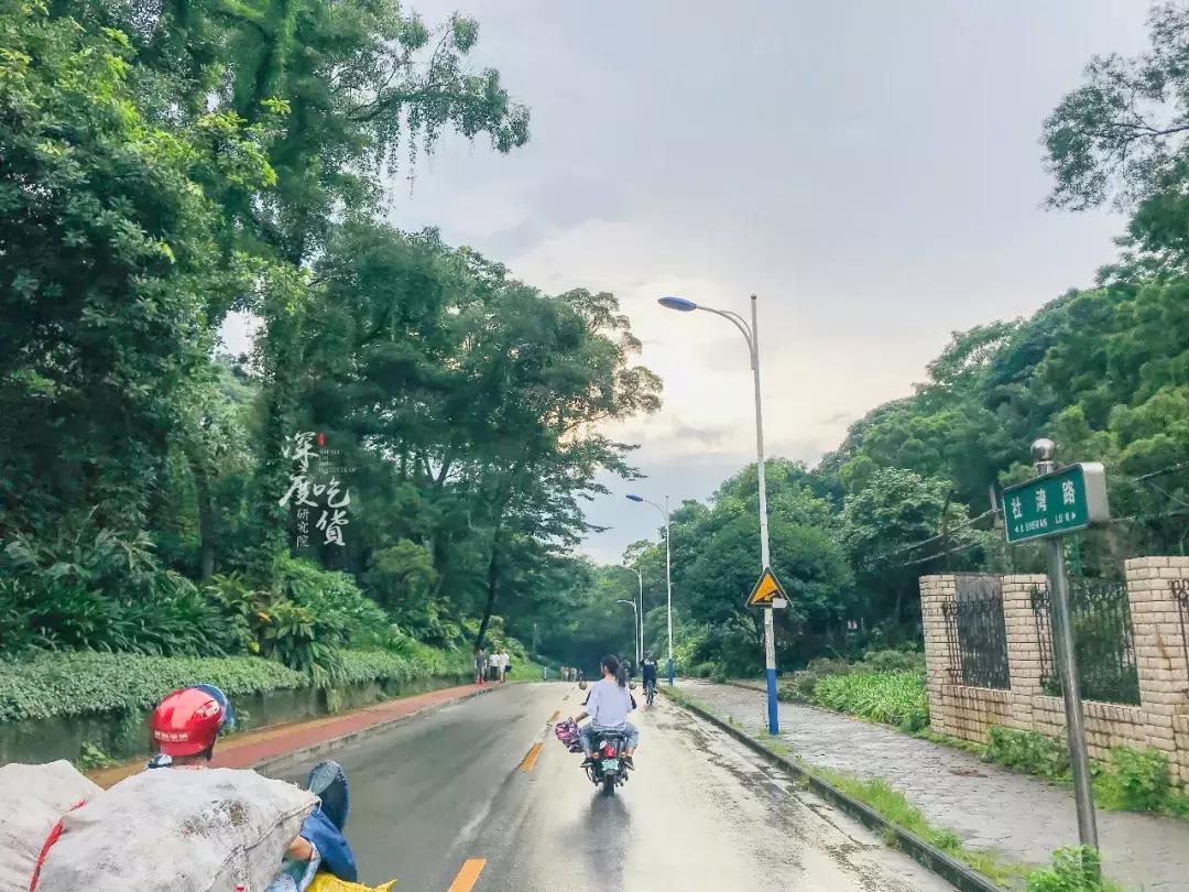 柳州职业技术学院在哪里,下一站柳州
