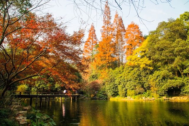打卡新白娘子传奇杭州取景地,三月杭州打卡景点
