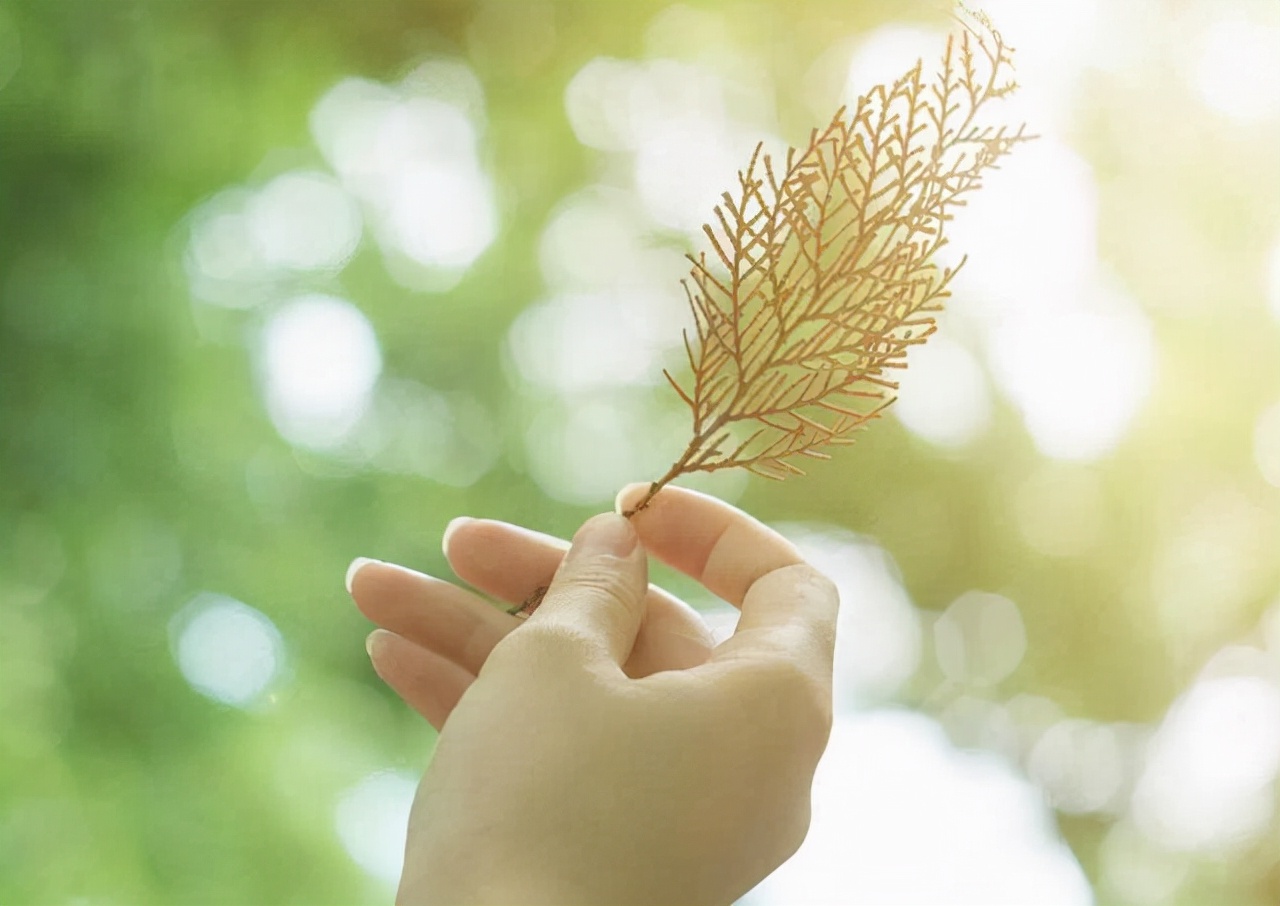 如何才能信任对方,如何学会信任他人