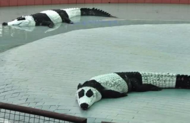 印度24条冷知识,印度冷知识100则