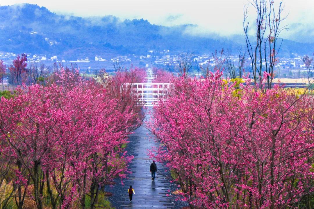 这是一个生机勃勃的地方关于它的故事才刚刚开始