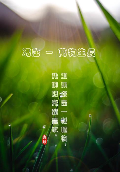 教你如何制作壁纸,自制壁纸教程不用白色底图