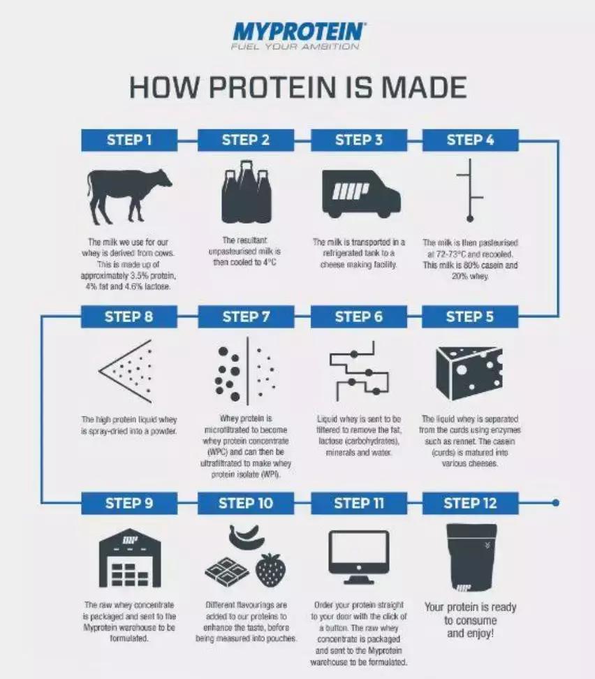 增肌蛋白粉的功效与禁忌 (蛋粉怎样吃才能增肌)