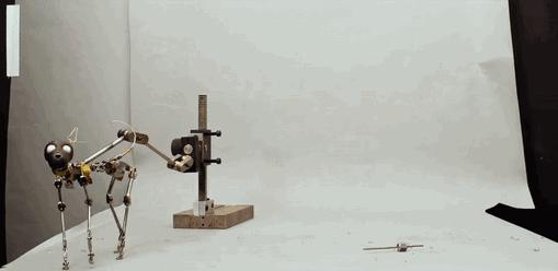 获奖奥斯卡最佳短片,第90届奥斯卡最佳动画短片提名