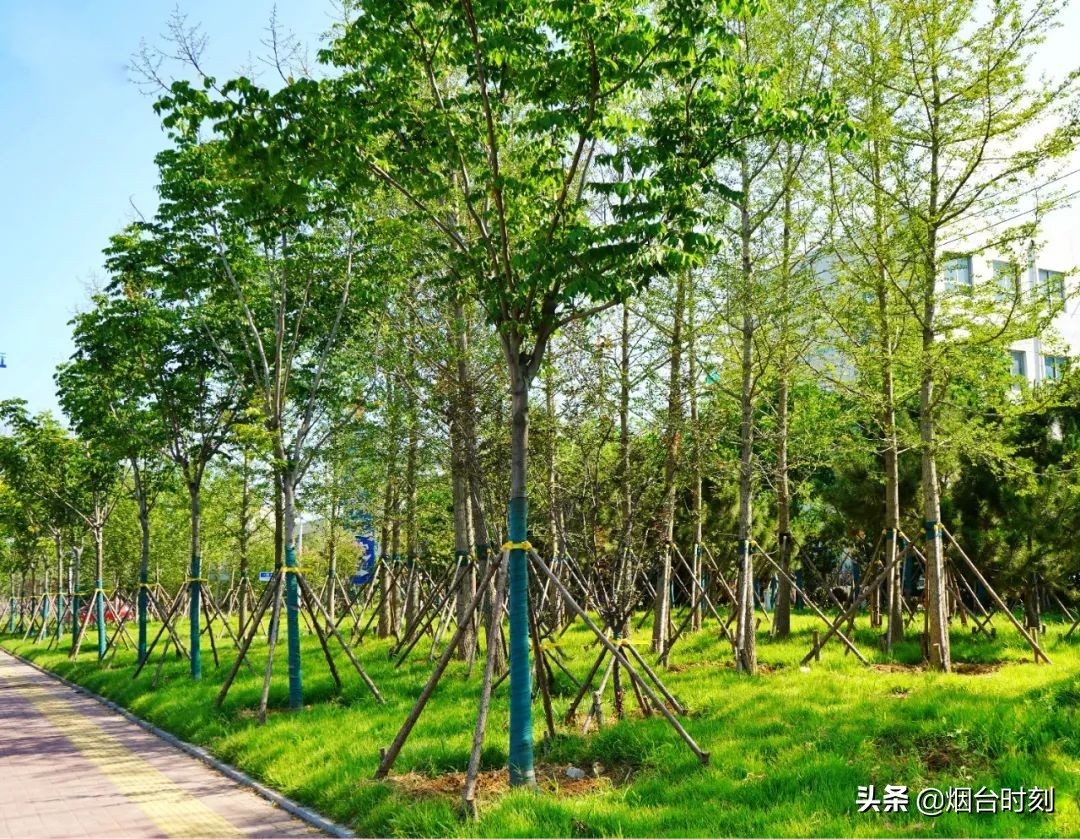 兰州民生工程最新进展,重点民生项目进展清单