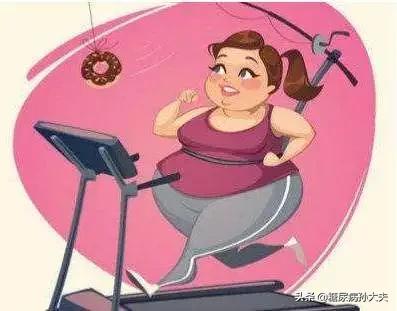 拿什么拯救你我的体重,拿什么拯救你我的肥胖