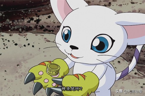 数码宝贝神圣力量有什么用,数码宝贝新世纪十大最强合体兽