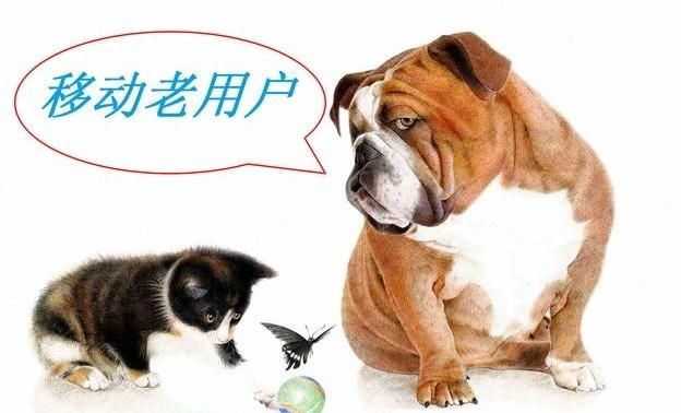 中国移动一个月19元无限流量,移动全面推出无限流量