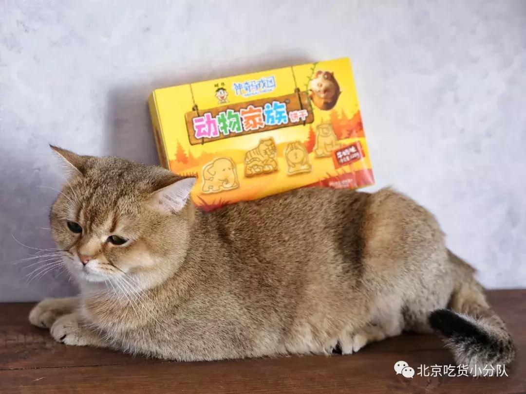 旺旺食品有哪些好吃的零食,旺旺最经典的零食