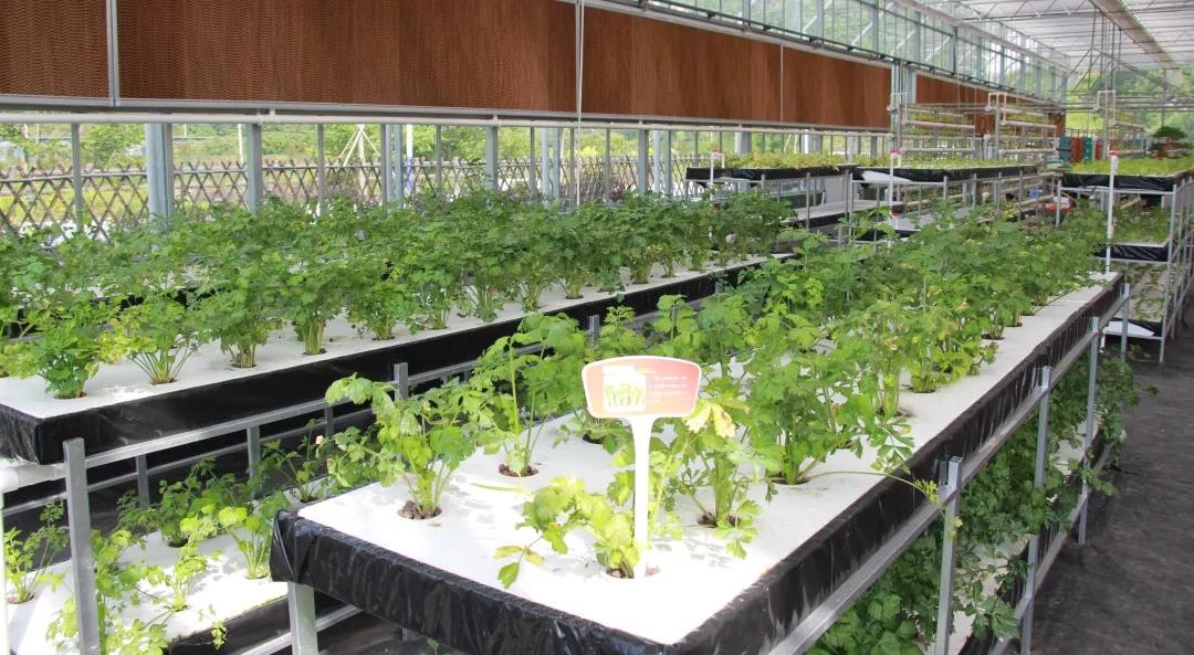 石泉古镇一日游攻略,秦巴水乡石泉十美景区