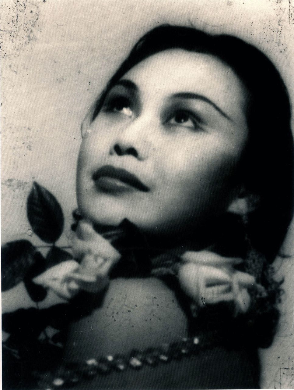 五十年代火爆女星,五十年代最红女星