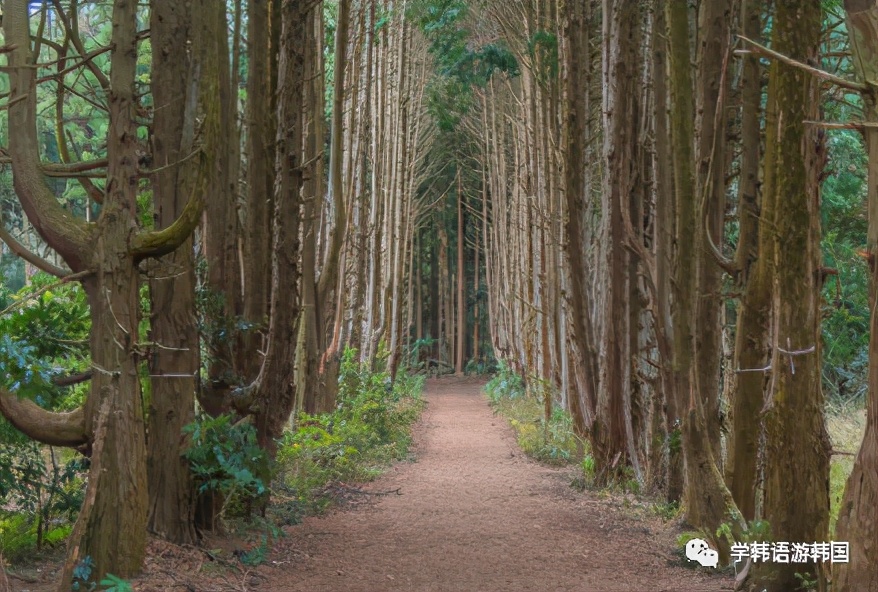 济州岛穿搭夏天旅游凉快,济州岛夏日旅行