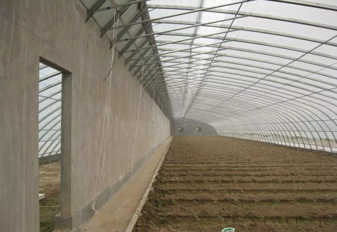 新型农村养殖大棚建造,专业建养殖大棚小伙