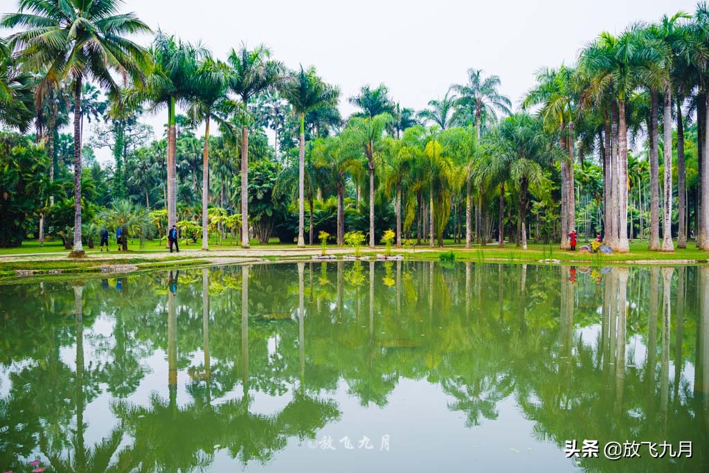 西双版纳必玩三个景点旅游攻略,西双版纳主要景点自由行