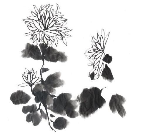 写意花鸟画技法菊,写意菊的画法教程