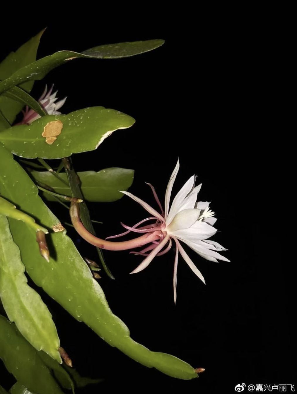 按头安利!5块钱淘宝好物,解决最难搞的收纳问题