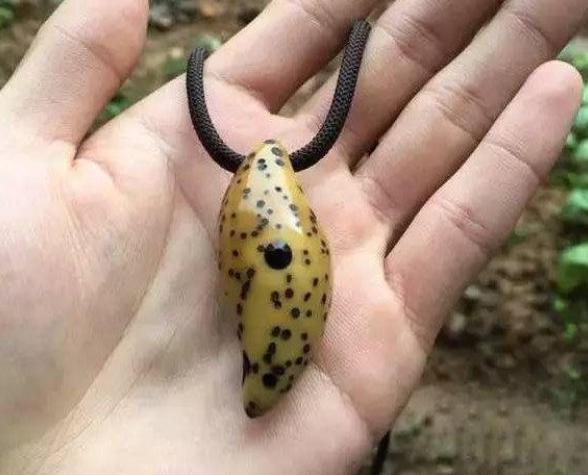 千眼菩提是怎么结的果,千眼菩提和别的菩提区别在哪