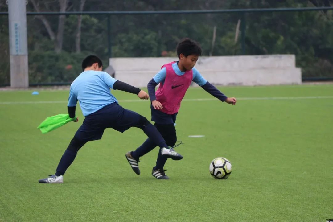 球迷经典故事,球迷故事