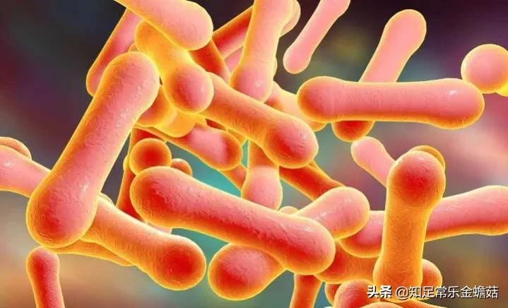 令人闻风丧胆的“儿童杀手”——白喉，是如何被征服的？